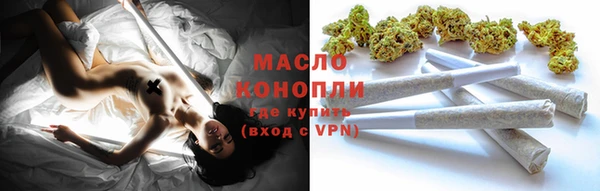 СК Инта
