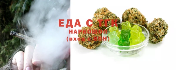 СК Инта