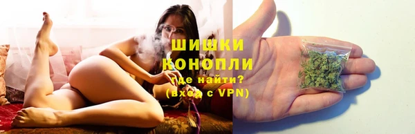 СК Инта