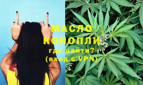 СК Инта