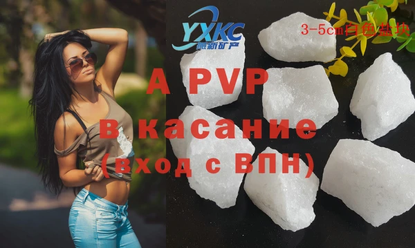 СК Инта