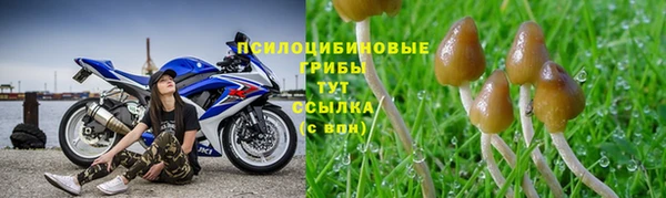 стафф Инсар