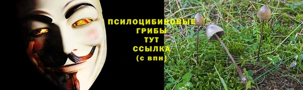 МДПВ Иннополис