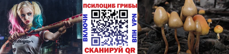 Купить закладки  Кудымкар  Галлюциногенные грибы Cubensis 
